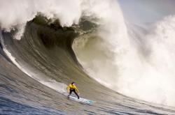 开云平台-步行者争冠战惊险胜出广东队，塔图姆末节爆发成关键先生