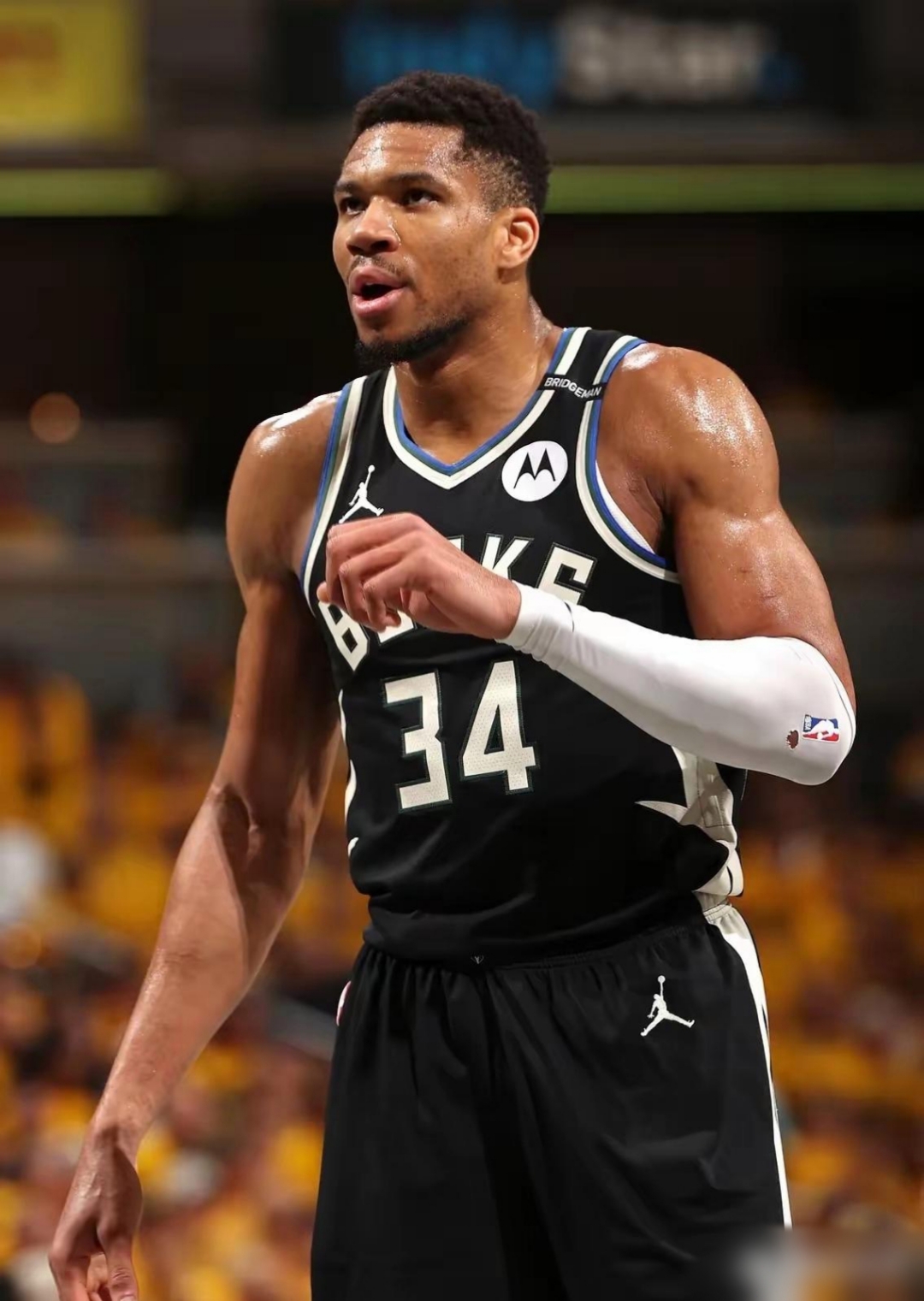 包含菲律宾男篮逆转猛龙,字母哥打破历史纪录的词条 包含菲律宾男篮逆转猛龙,字母哥打破历史纪录的词条