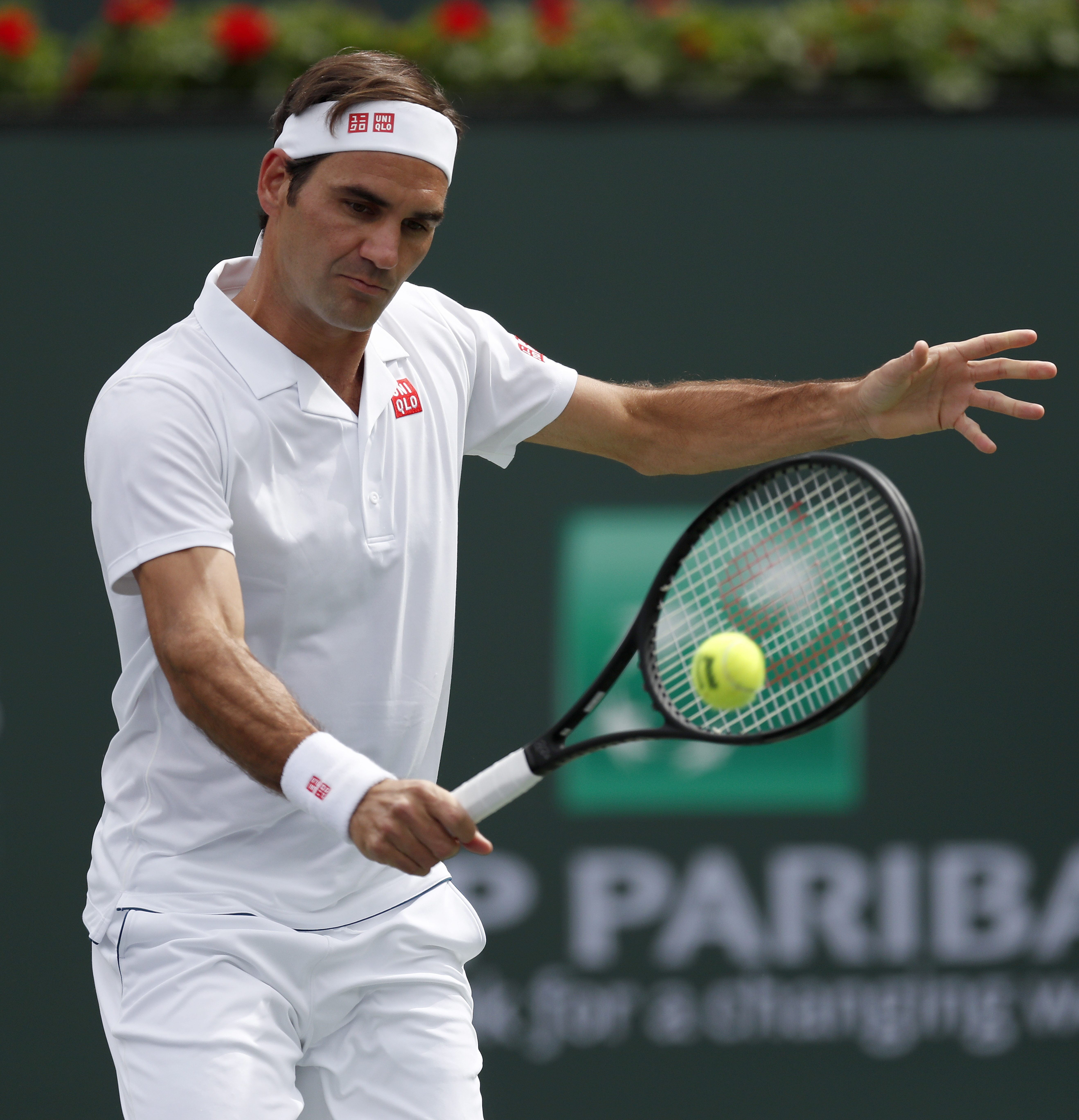 德国网球队绝地反击日本网球队，费德勒惊艳世界的简单介绍