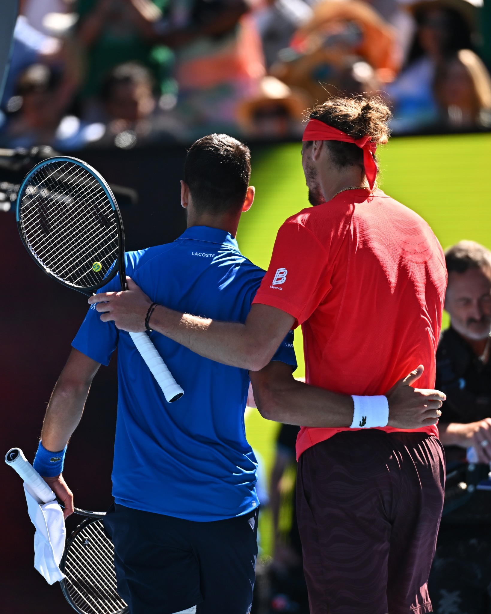 包含ATP总决赛翻盘戴维斯杯，德约科维奇刷新纪录的词条