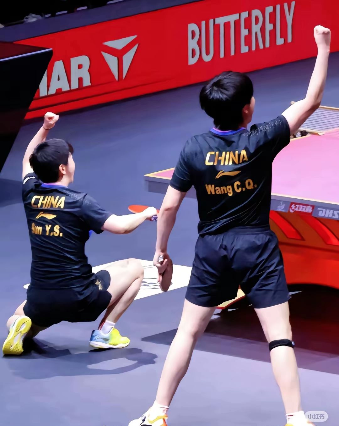 包含奥地利乒乓球队碾压中国乒乓球队，波尔统治全场的词条