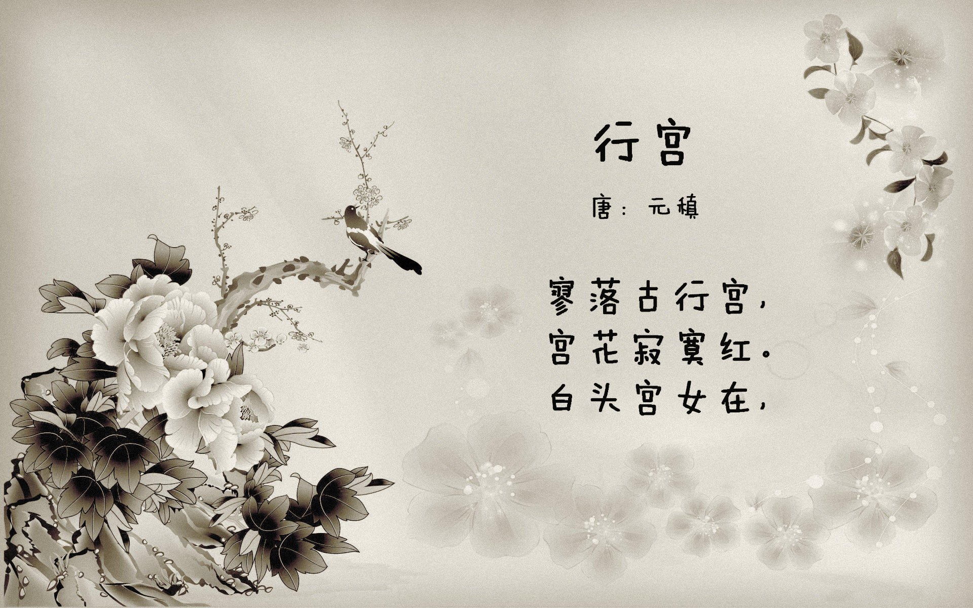 当东方铁骑遭遇美式节奏，德罗赞的掌控力如何定义浙江队与篮网的跨洋对话