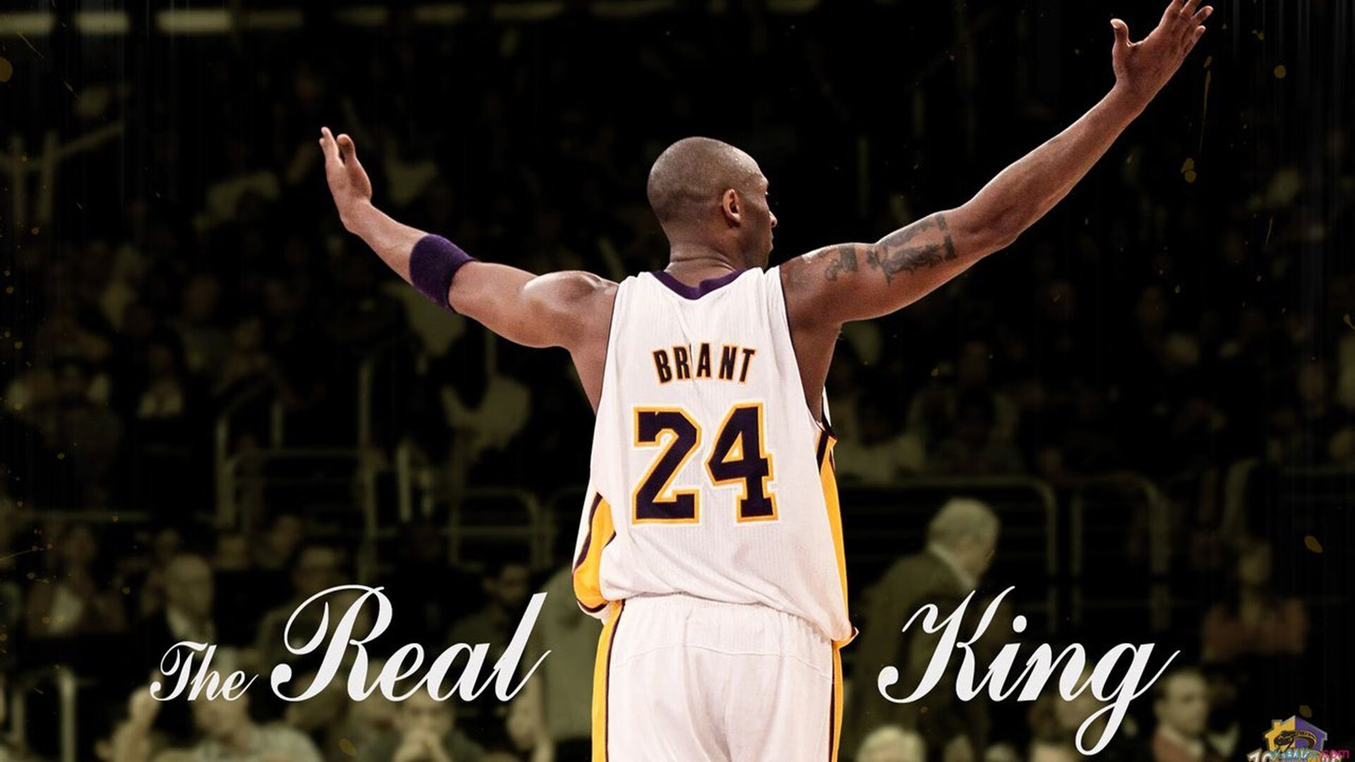 奇才提前终结悬念上海队,切特大场面先生